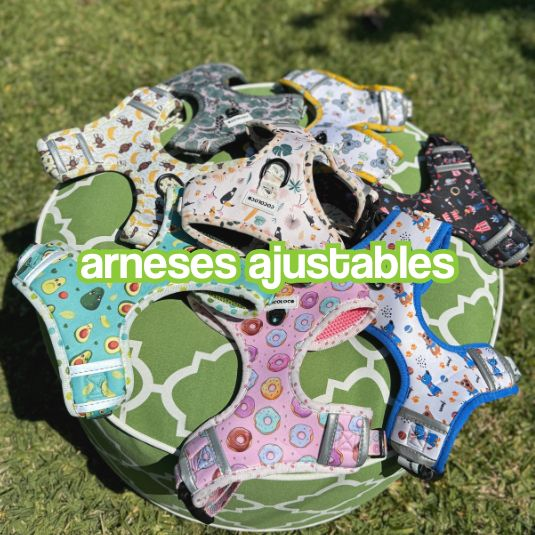 arnés ajustable