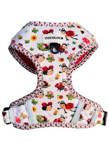 arnes mariquina