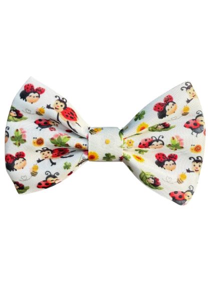 pajarita mariquina