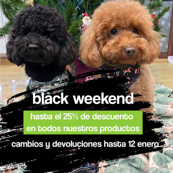 portada black weekend mobile