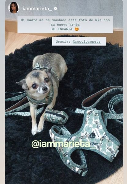 marieta safari