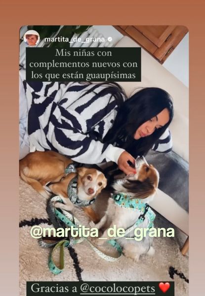 martita avocado