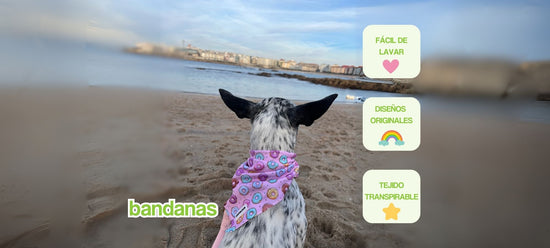 portada pc bandana