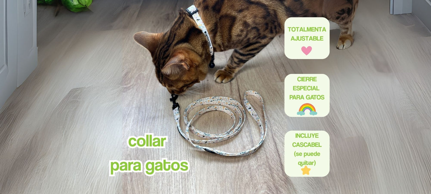 portada pc collar gatos