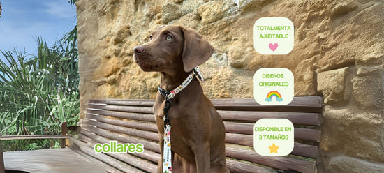 portada pc collar