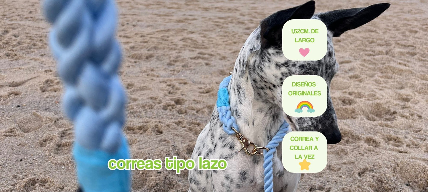 portada pc correas tipo lazo