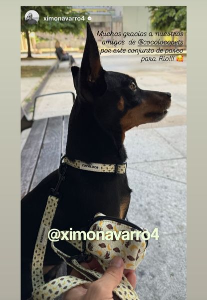 Ximo banana mamma