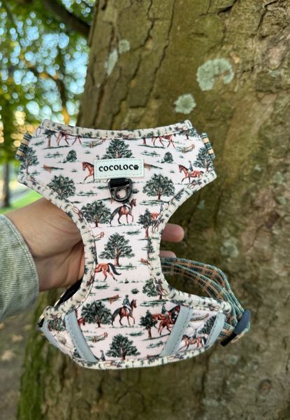ARNÉS AJUSTABLE BRITISH