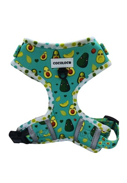 arnes healthy avocado
