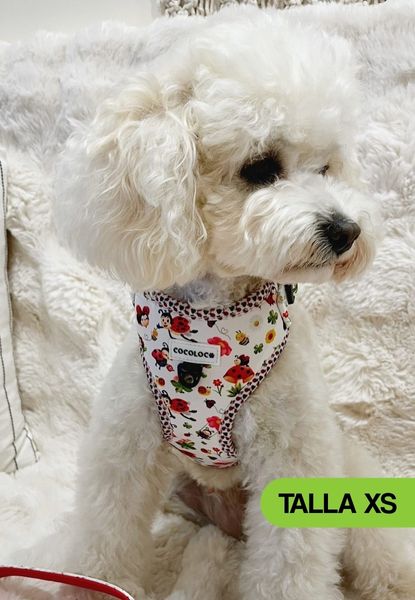 arnes mariquina xs 2