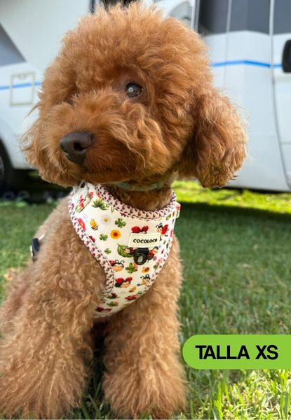 arnes mariquina xs 2 coco