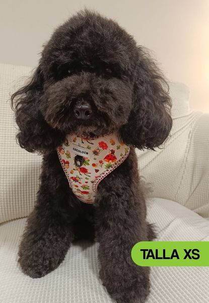 arnes mariquina xs bali