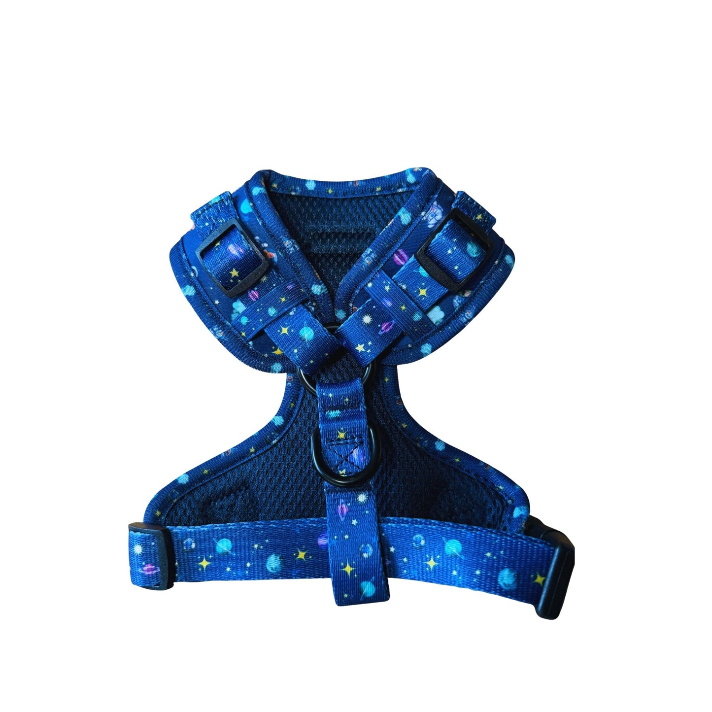arnes polaris 12