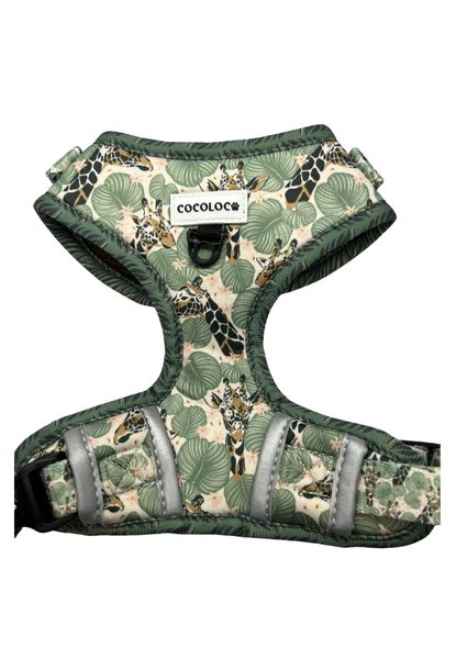 arnes safari