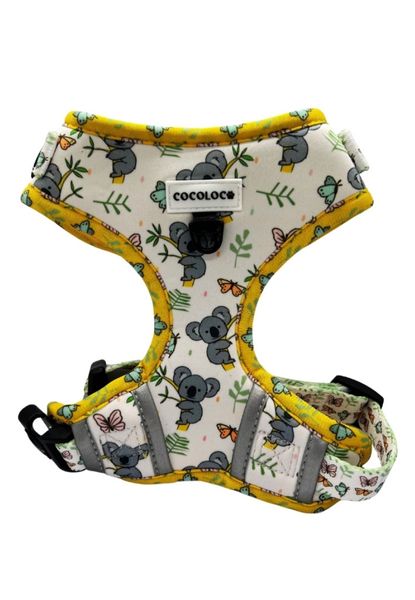 arnes sweet koala
