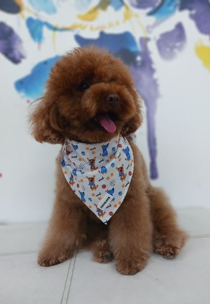 bandana doggy 10