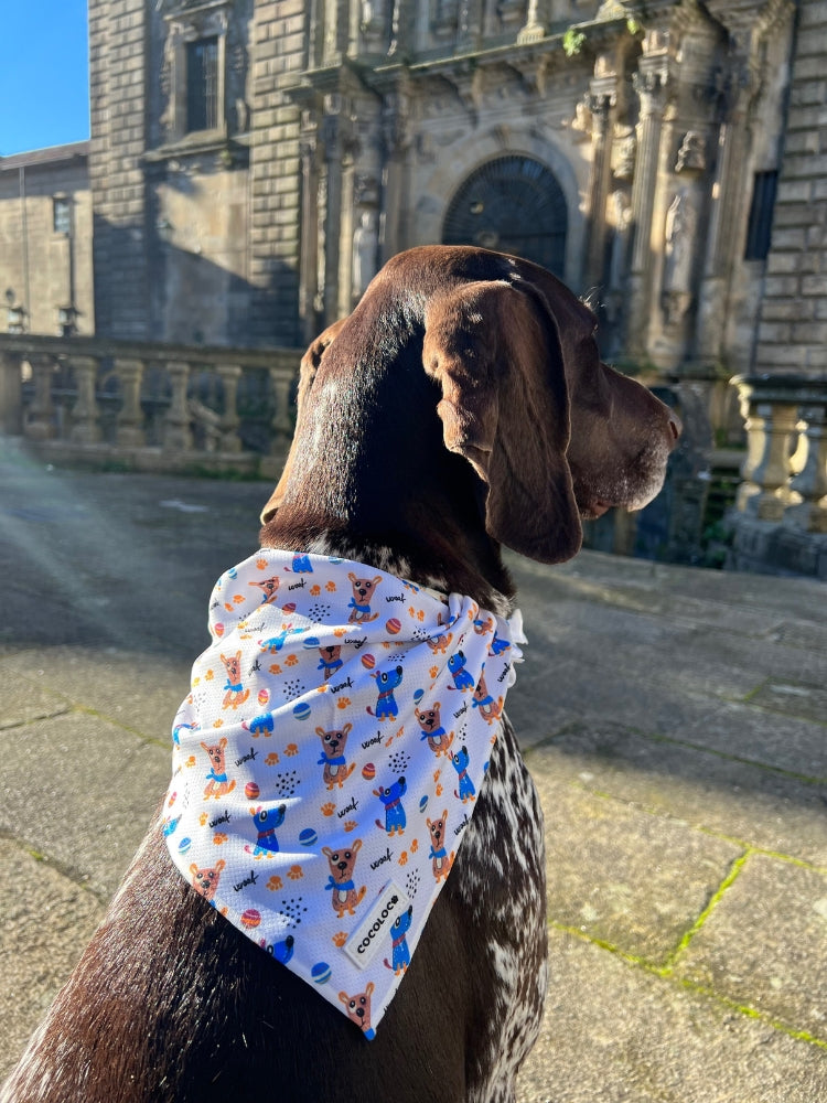 Bandana doggy 3