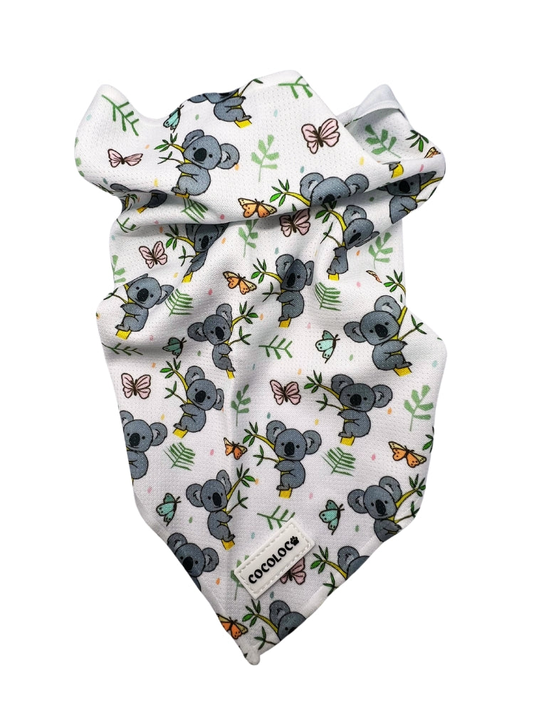 Bandana sweet koala 1