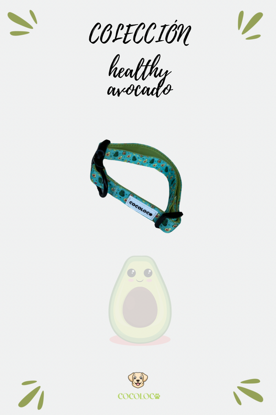 Collar healthy avocado 6