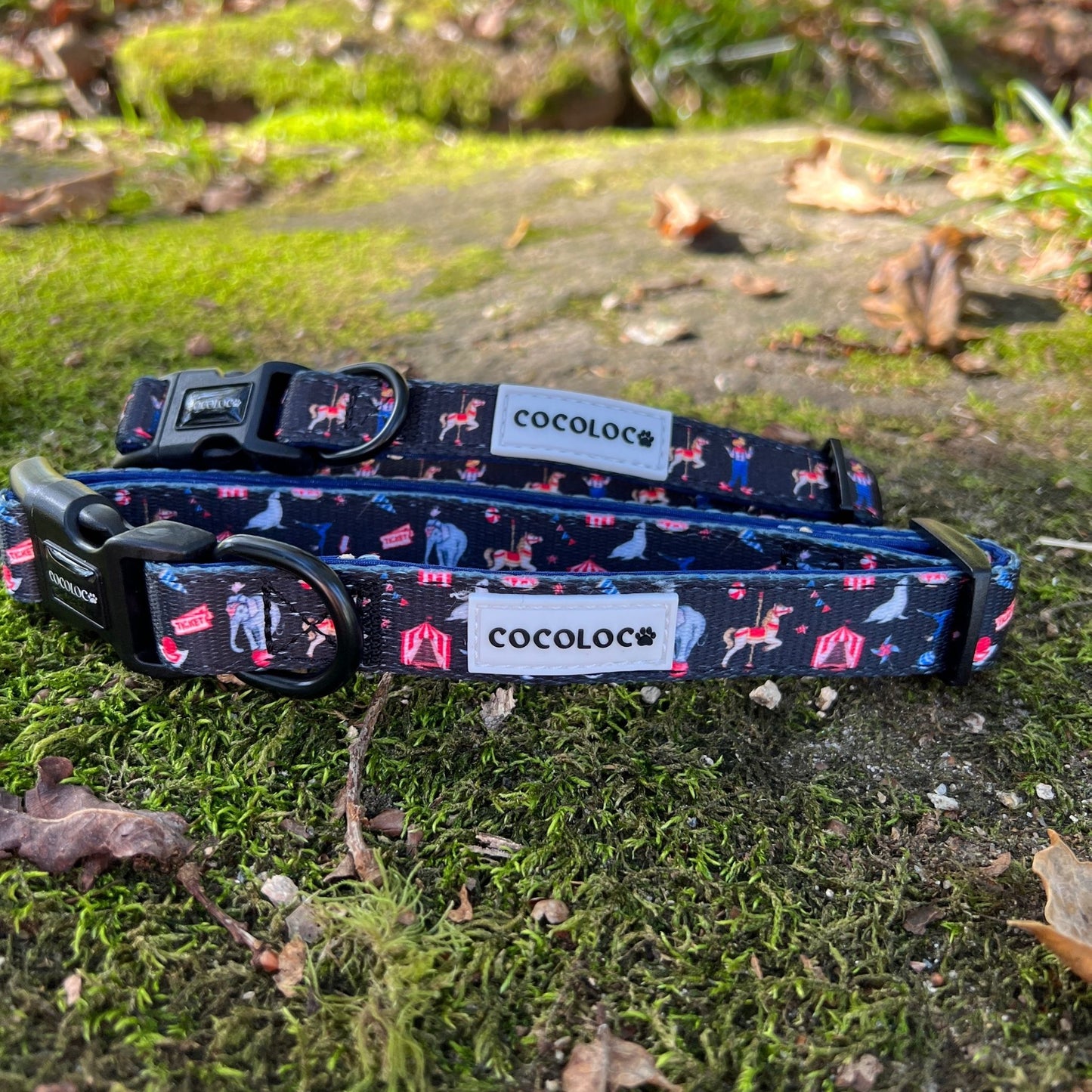 collar circus 5