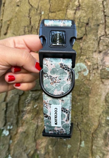 collar todoterreno safari 5