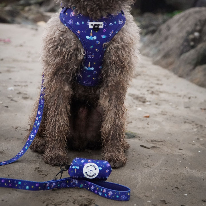Perro con el arnés y la correa de la colección Polaris