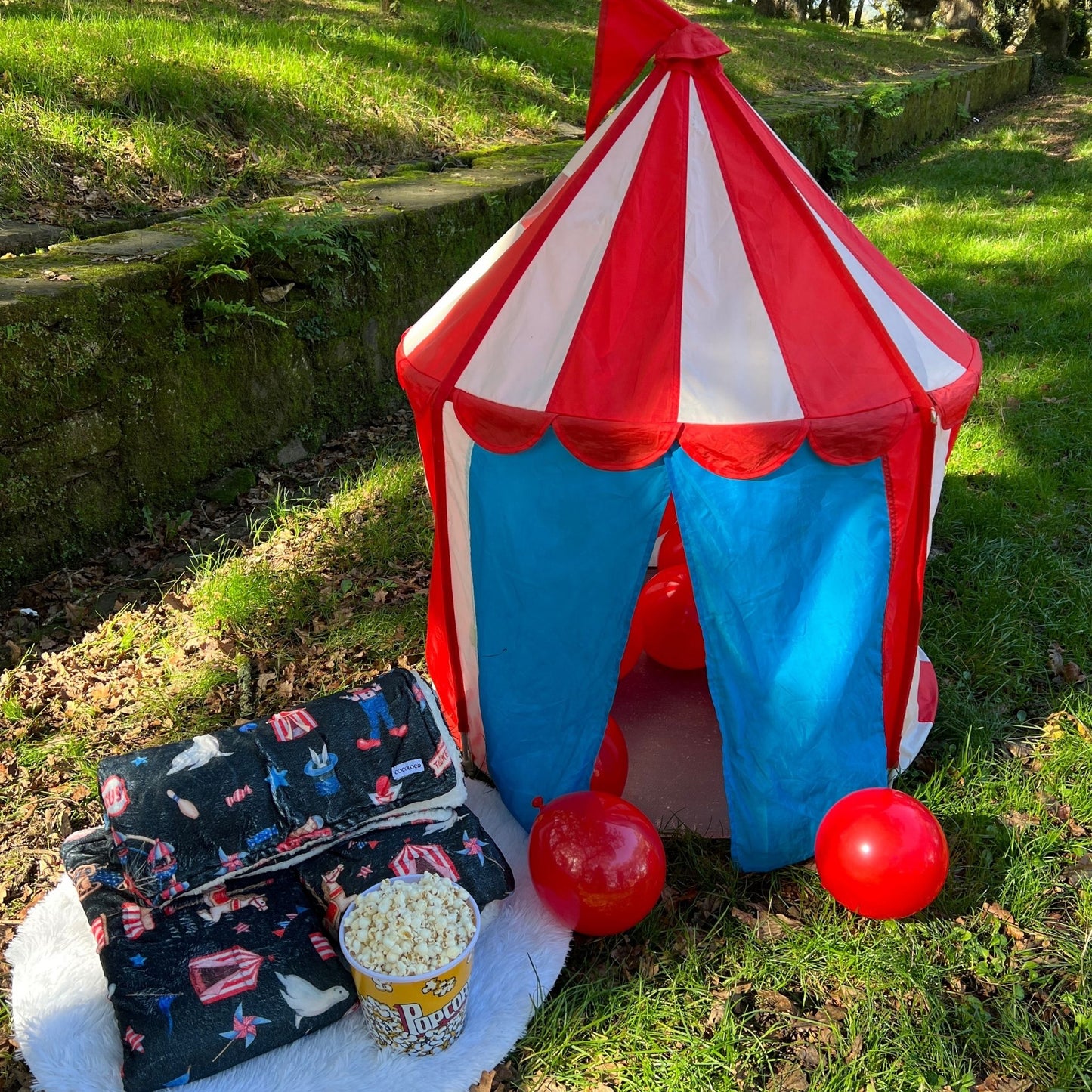 manta circus 5