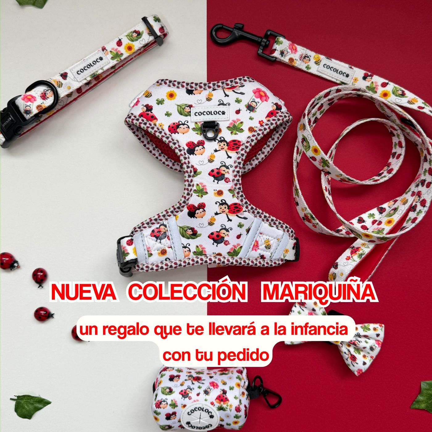mariquina mobile