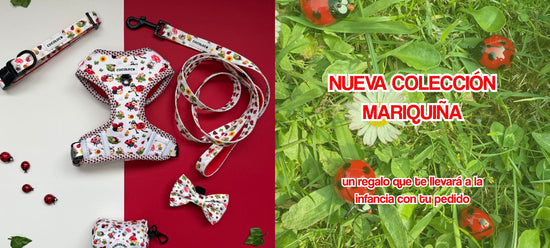 mariquina web