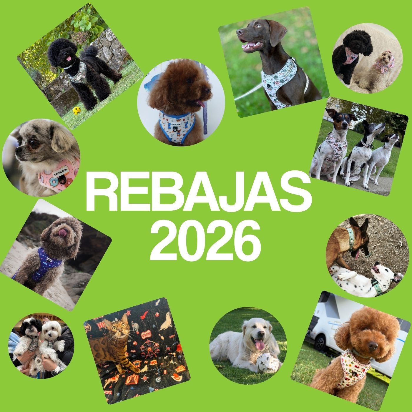 Rebajas 2026 portada mobile
