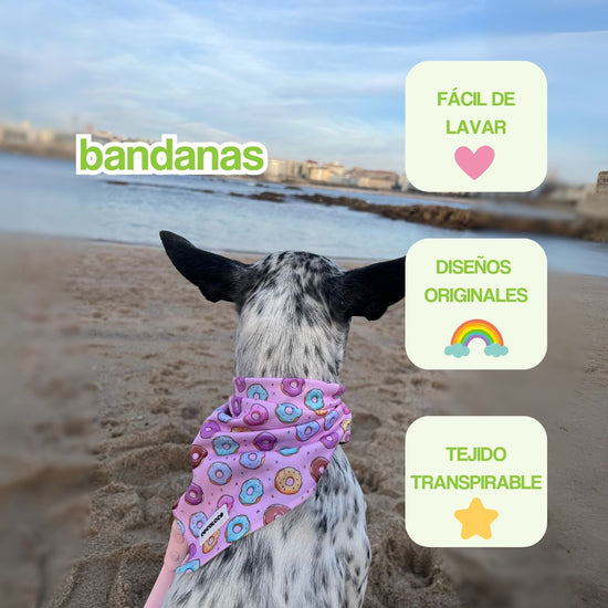 portada mobile bandanas