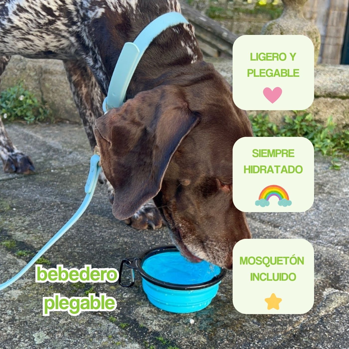 portada mobile bebedero