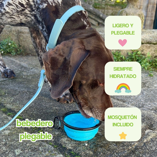 portada mobile bebedero