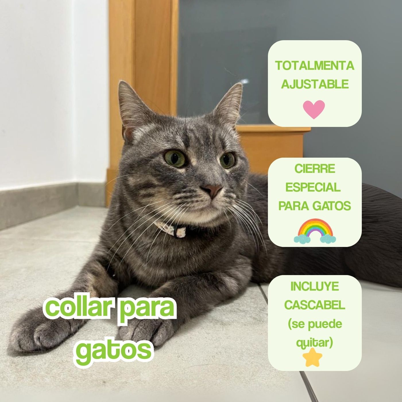 portada mobile collar gatos