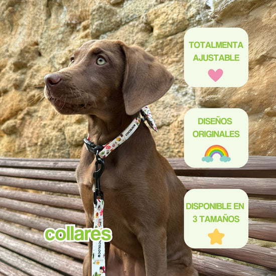 portada mobile collar
