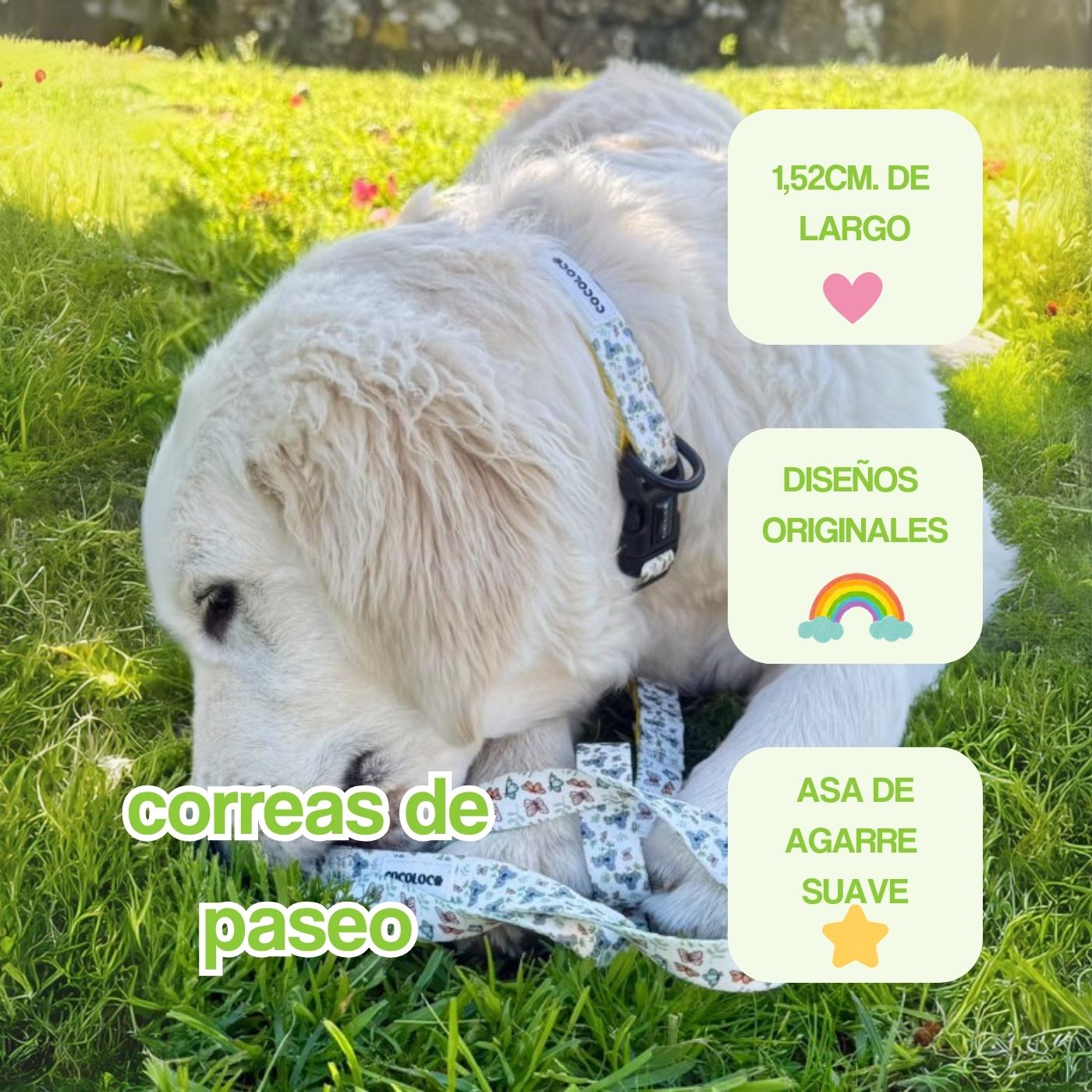 correas de paseo  portada mobile
