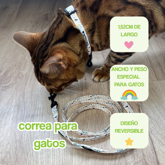 portada mobile correa gatos