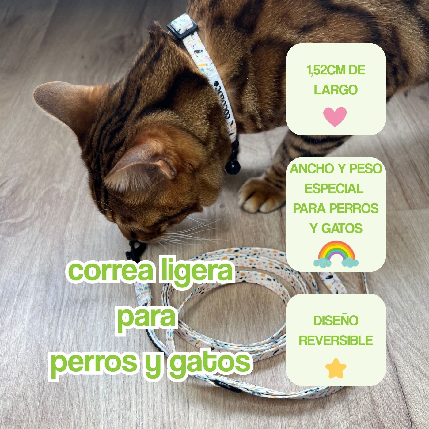 correa ligera  portada mobile