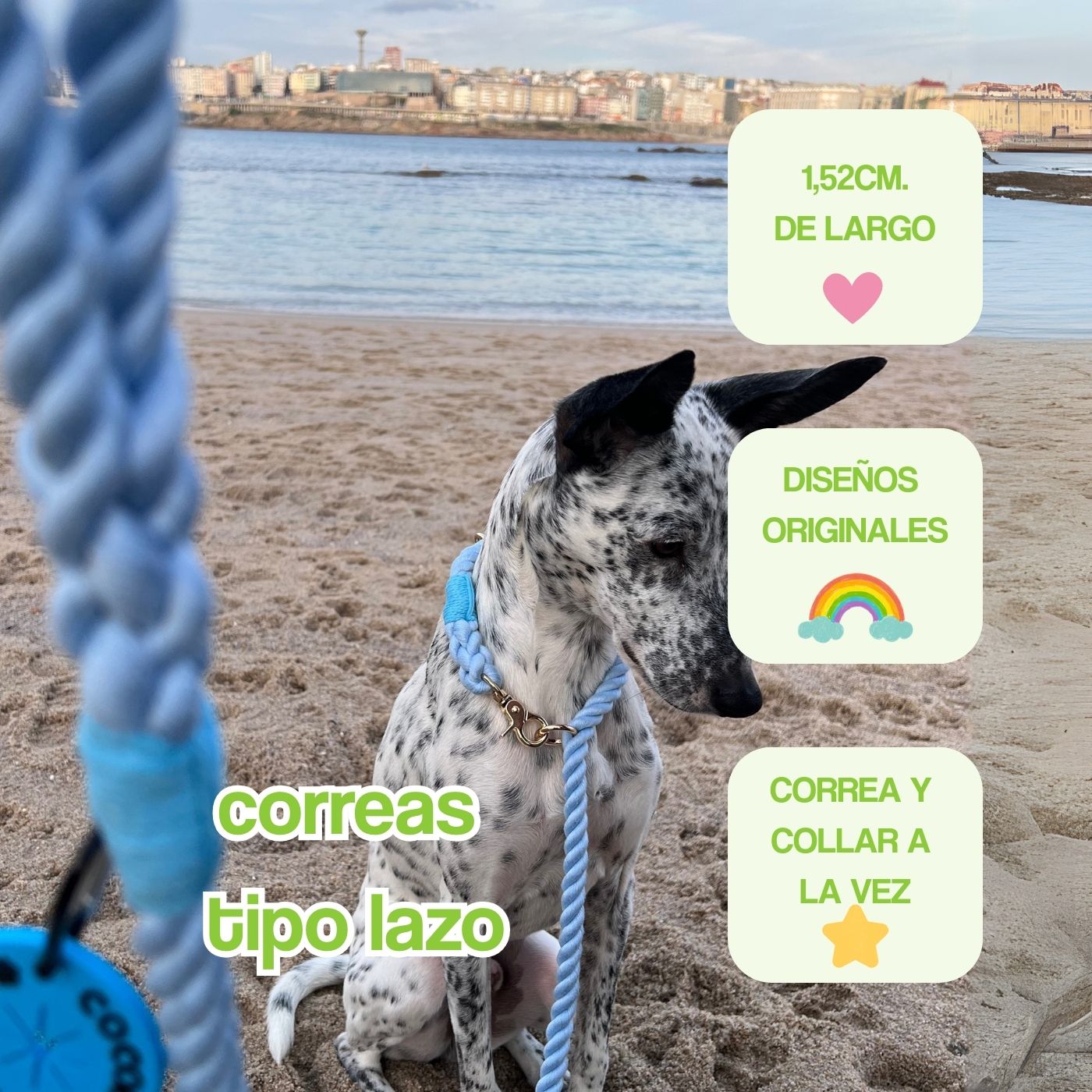 correas tipo lazo  portada mobile