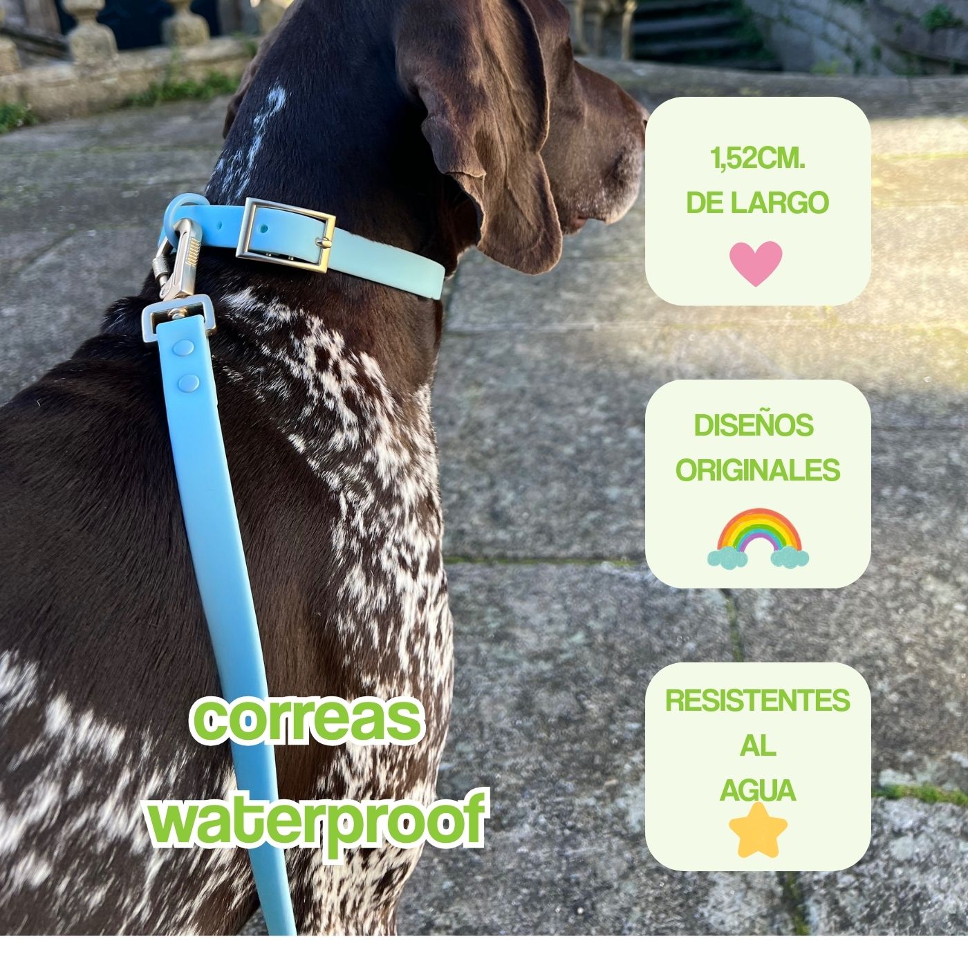 correas waterproof portada mobile
