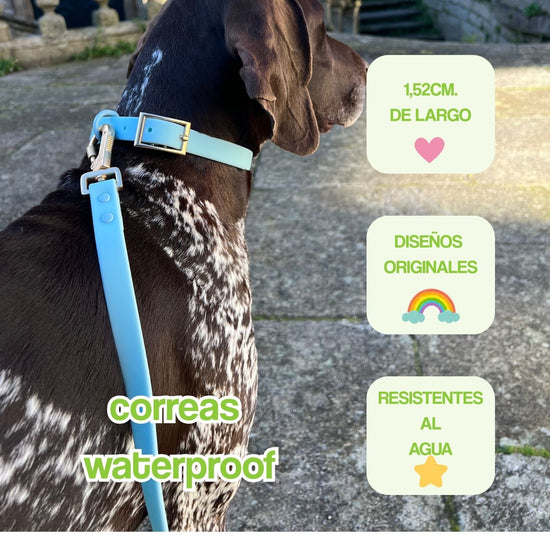 correas waterproof portada mobile