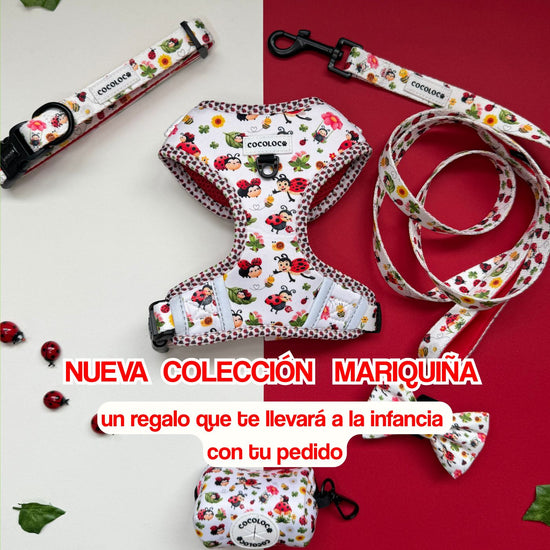 lanzamiento mariquina mobile