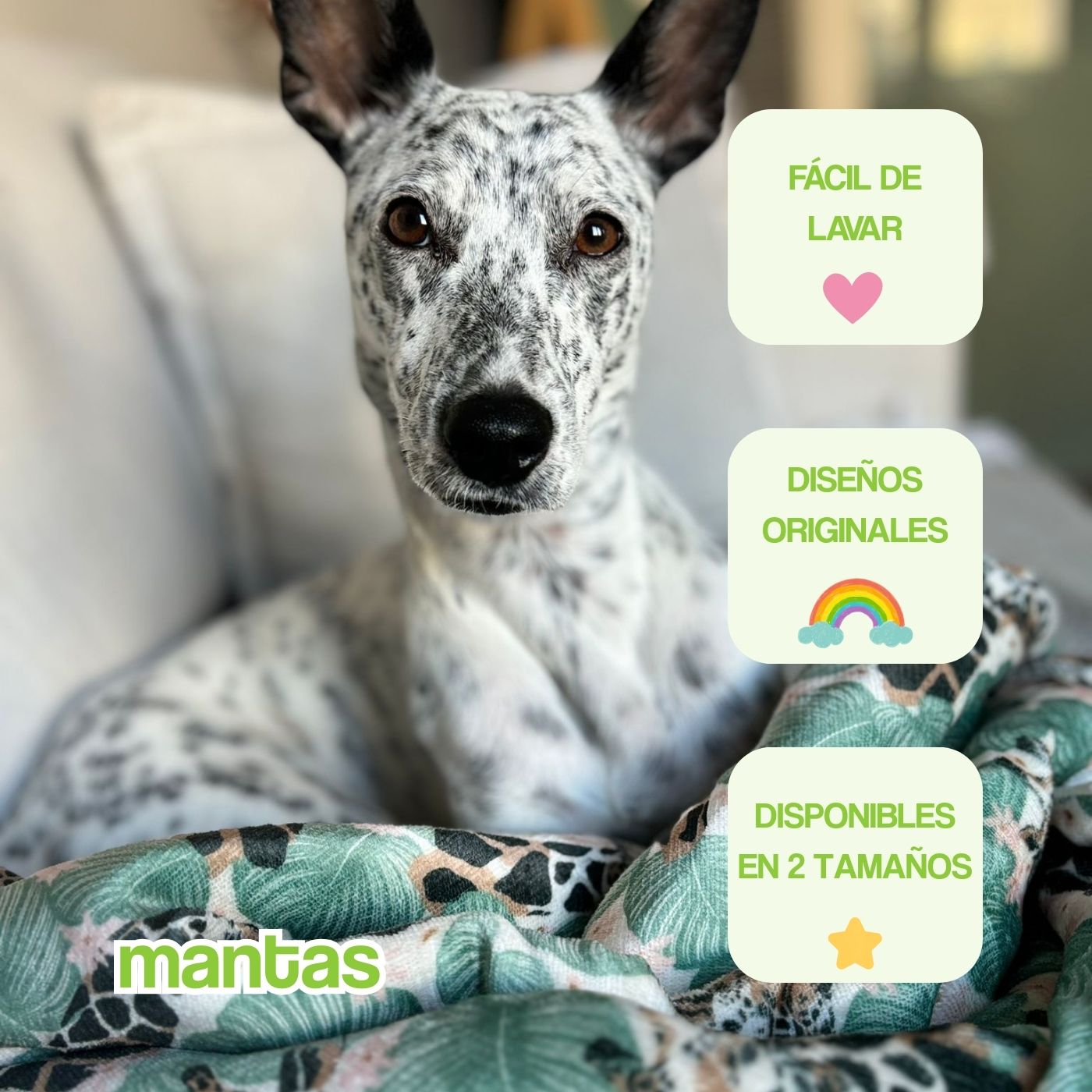 portada mobile mantas