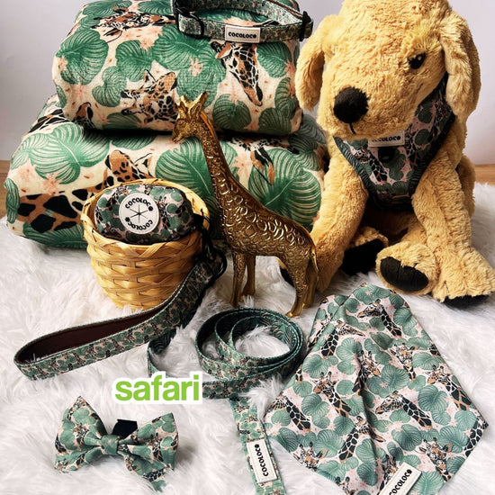 portada mobile safari