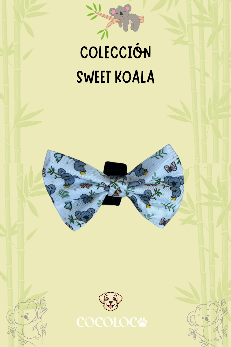 Pajarita sweet koala 4