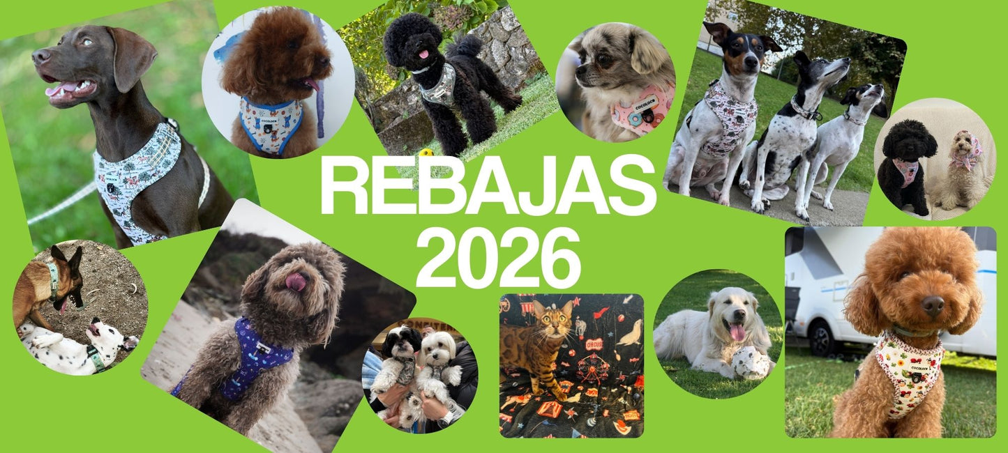 Rebajas 2026 portada web