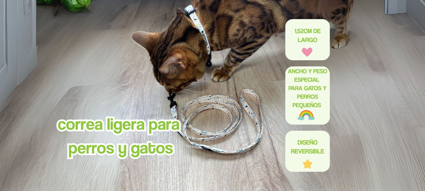 portada pc correas ligeras para perros y gatos