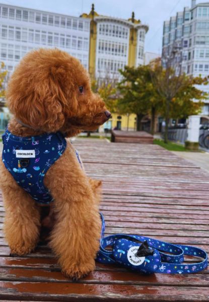 portabolsas polaris perro 1