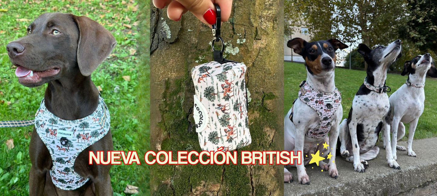 portada british web
