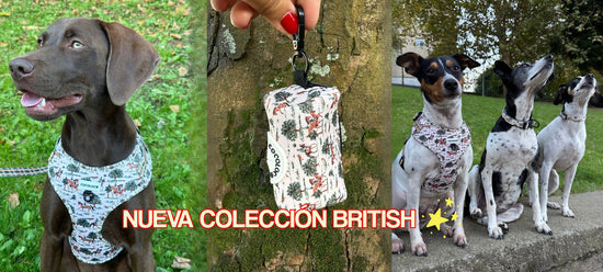 portada british web